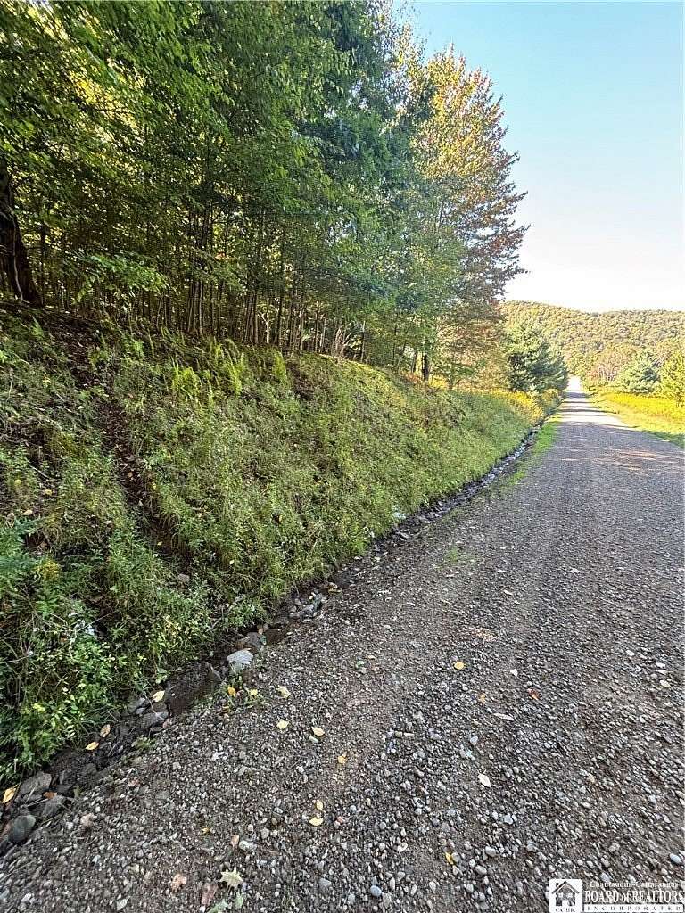 16.9 Acres of Recreational Land for Sale in Bolivar, New York