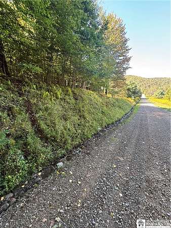 16.9 Acres of Recreational Land for Sale in Bolivar, New York