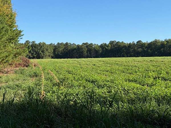 42 Acres of Land for Sale in Lamar, South Carolina