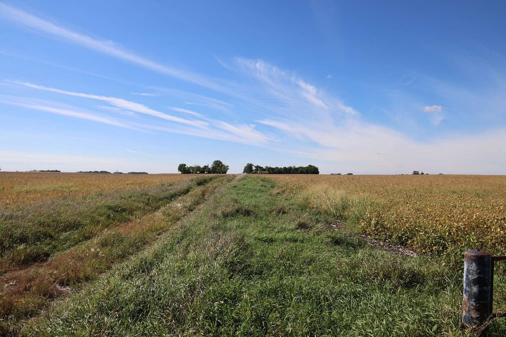 159 Acres of Land for Sale in Hector, Minnesota