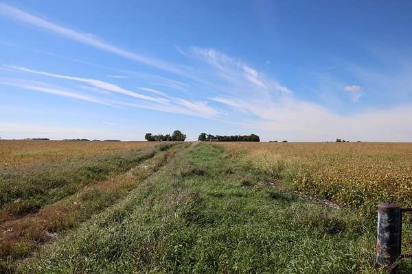 159 Acres of Land for Sale in Hector, Minnesota
