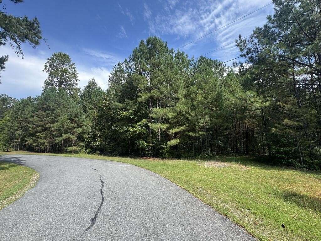 10 Acres of Land for Sale in Ellijay, Georgia