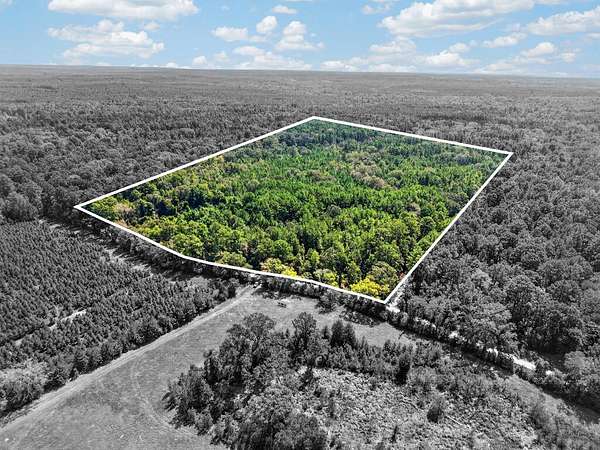 26.7 Acres of Recreational & Residential Land for Sale in Cushing, Texas