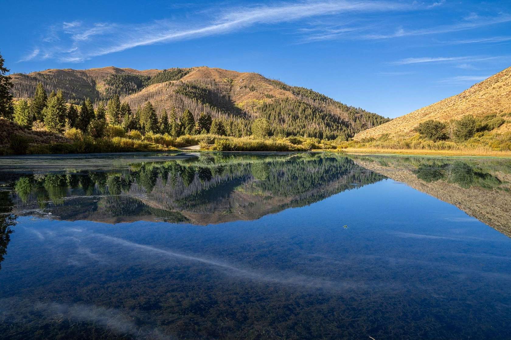 320 Acres of Recreational Land for Sale in Hailey, Idaho