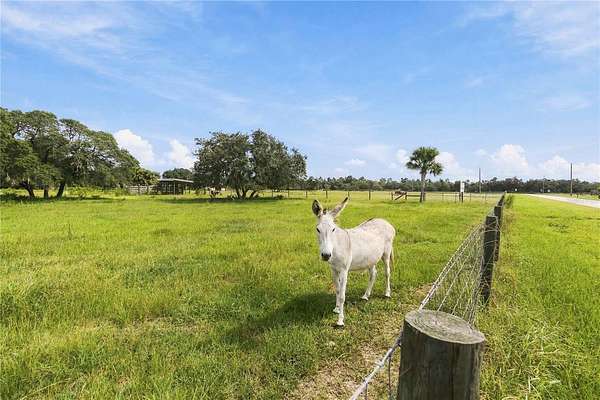 9.36 Acres of Agricultural Land for Sale in Astatula, Florida