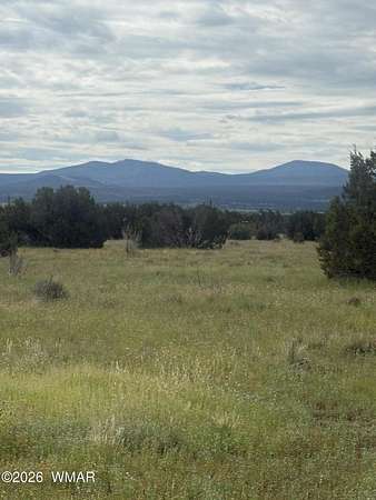 7.52 Acres of Residential Land for Sale in Vernon, Arizona