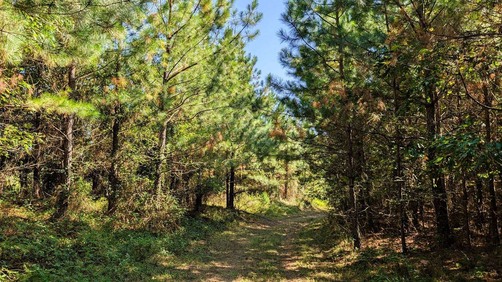 31.8 Acres of Recreational & Residential Land for Sale in Jackson, Ohio