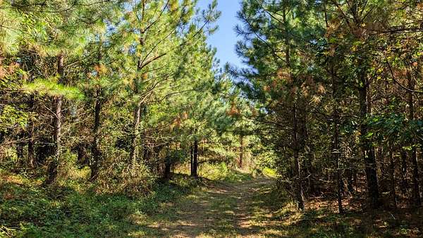 31.8 Acres of Recreational & Residential Land for Sale in Jackson, Ohio