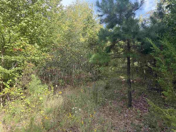 35 Acres of Recreational Land for Sale in Alread, Arkansas