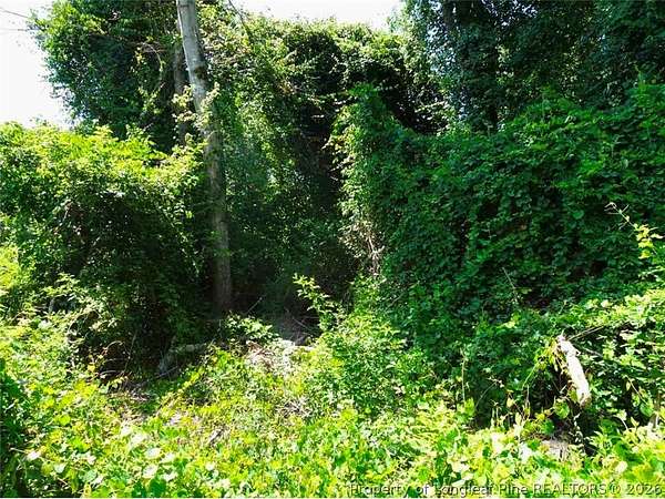 0.48 Acres of Residential Land for Sale in Eastover, North Carolina