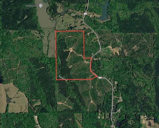 75.8 Acres of Recreational Land for Sale in Pontotoc, Mississippi
