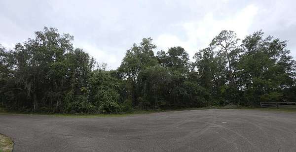 0.7 Acres of Residential Land for Sale in Trenton, Florida