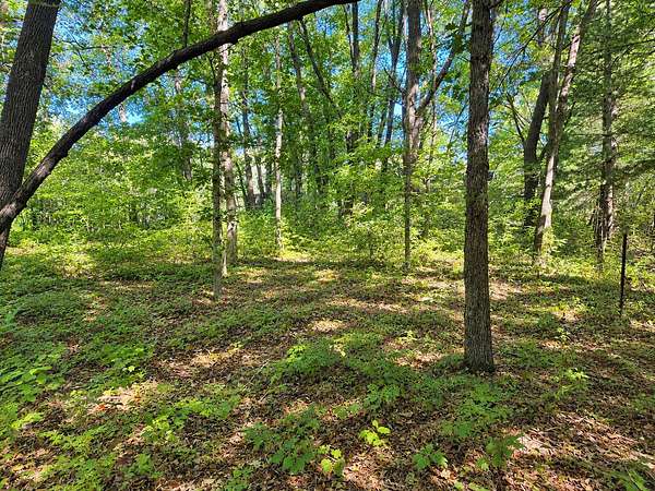0.28 Acres of Residential Land for Sale in Zimmerman, Minnesota
