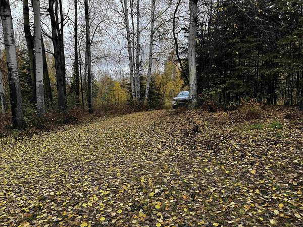 5 Acres of Residential Land for Sale in Fairbanks, Alaska