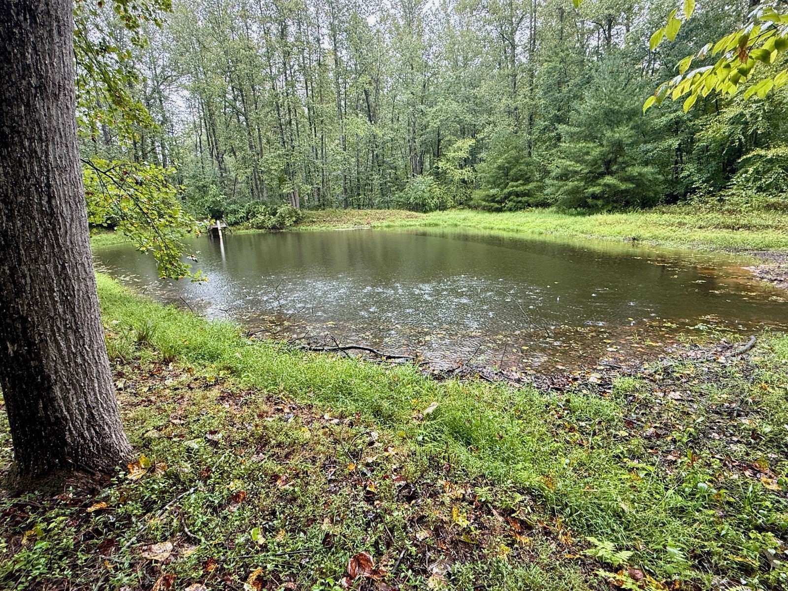 7.6 Acres of Land with Home for Auction in Reva, Virginia