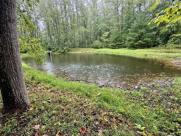 7.6 Acres of Land with Home for Auction in Reva, Virginia