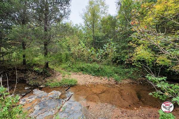 578 Acres of Recreational Land for Sale in Burkesville, Kentucky