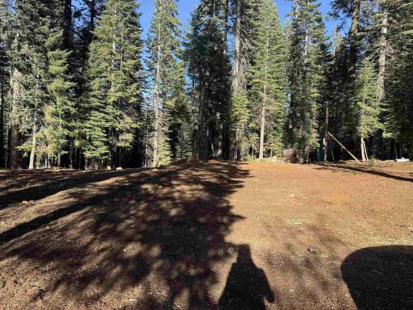 0.45 Acres of Land for Sale in Bucks Lake, California