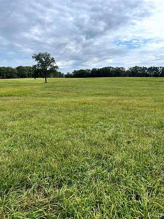19.9 Acres of Land for Sale in Leslie, Missouri