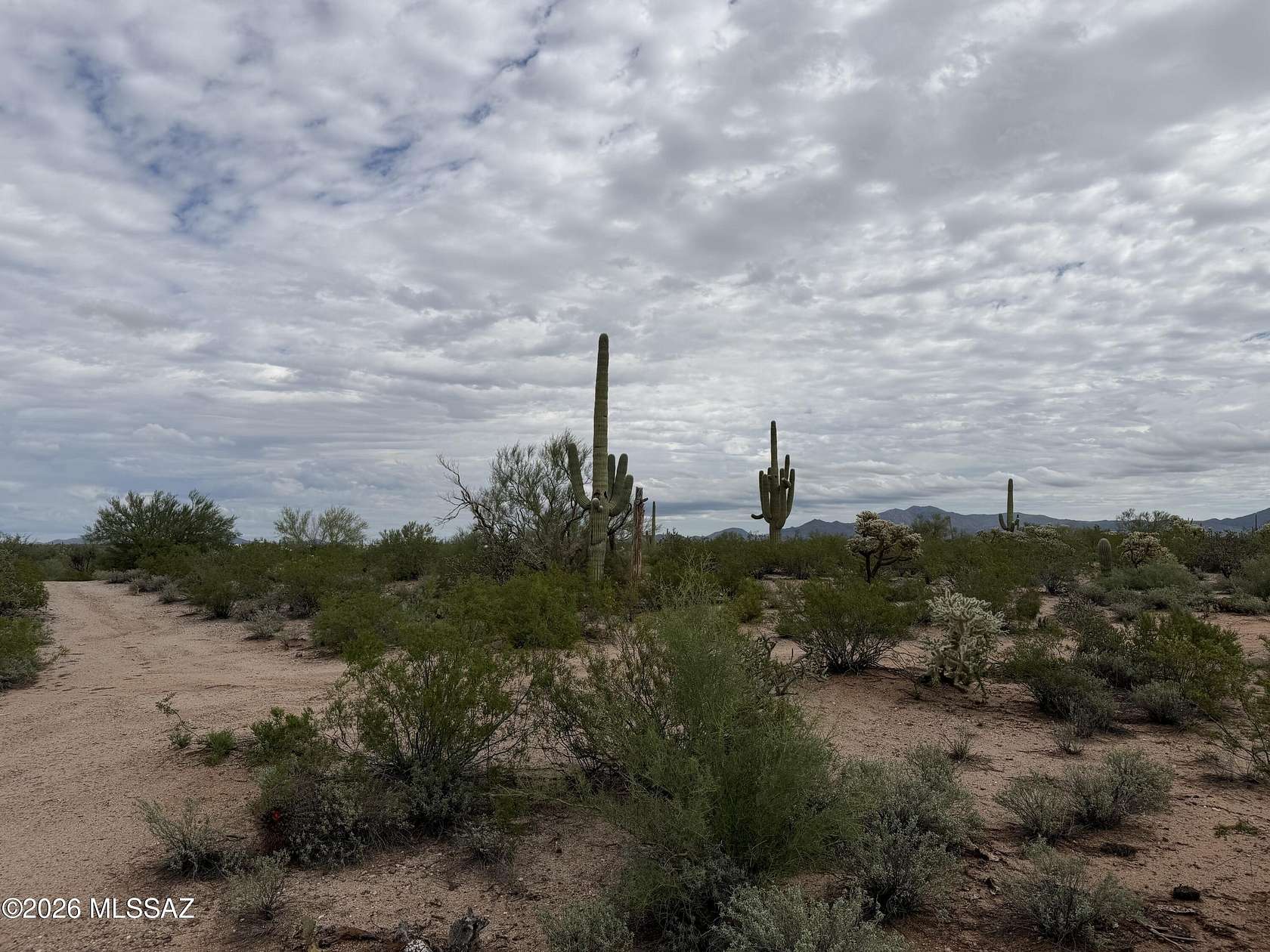103 Acres of Recreational & Residential Land for Sale in Catalina, Arizona