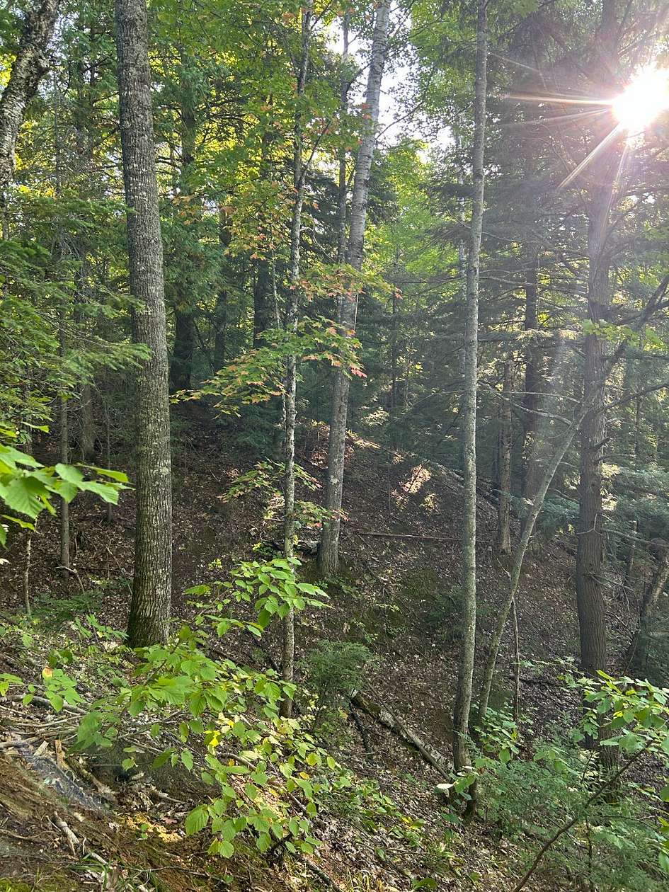 80 Acres of Recreational Land for Sale in Rockland Township, Michigan