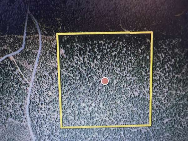 40 Acres of Recreational Land for Sale in Quincy, California