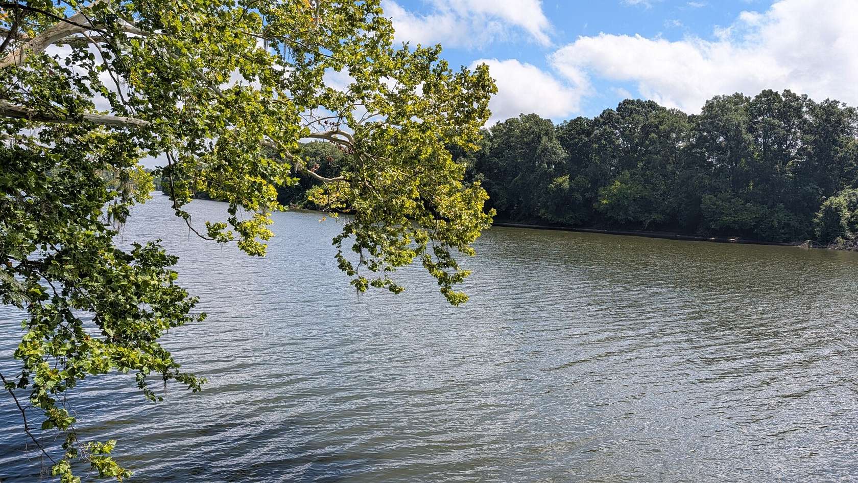 0.88 Acres of Residential Land for Sale in Selma, Alabama
