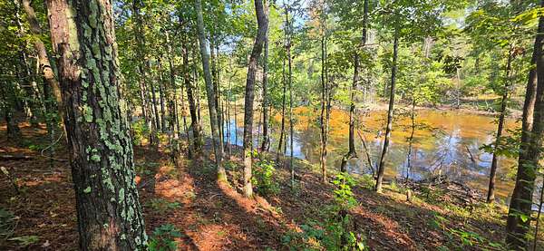 55 Acres of Recreational & Residential Land for Sale in Jemison, Alabama