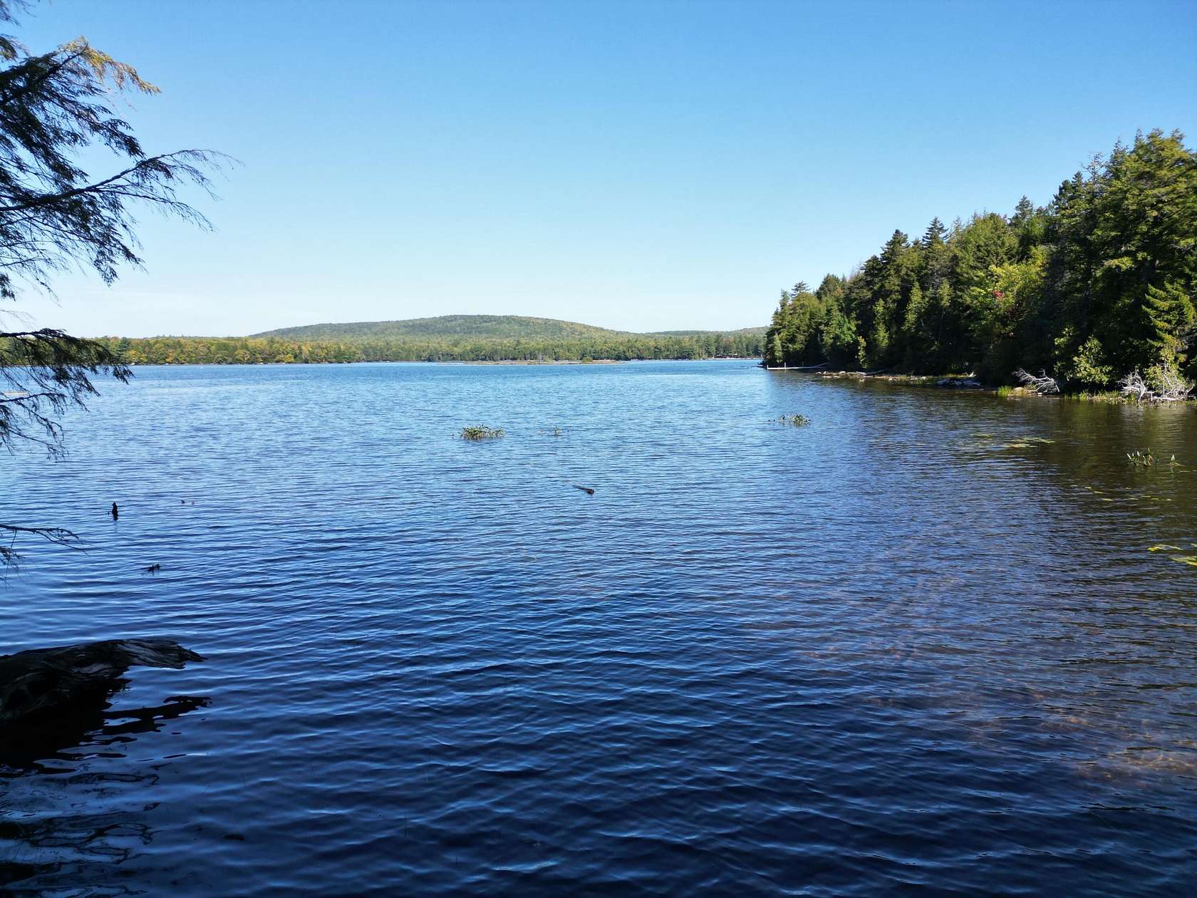 1.9 Acres of Residential Land for Sale in Lincoln, Maine