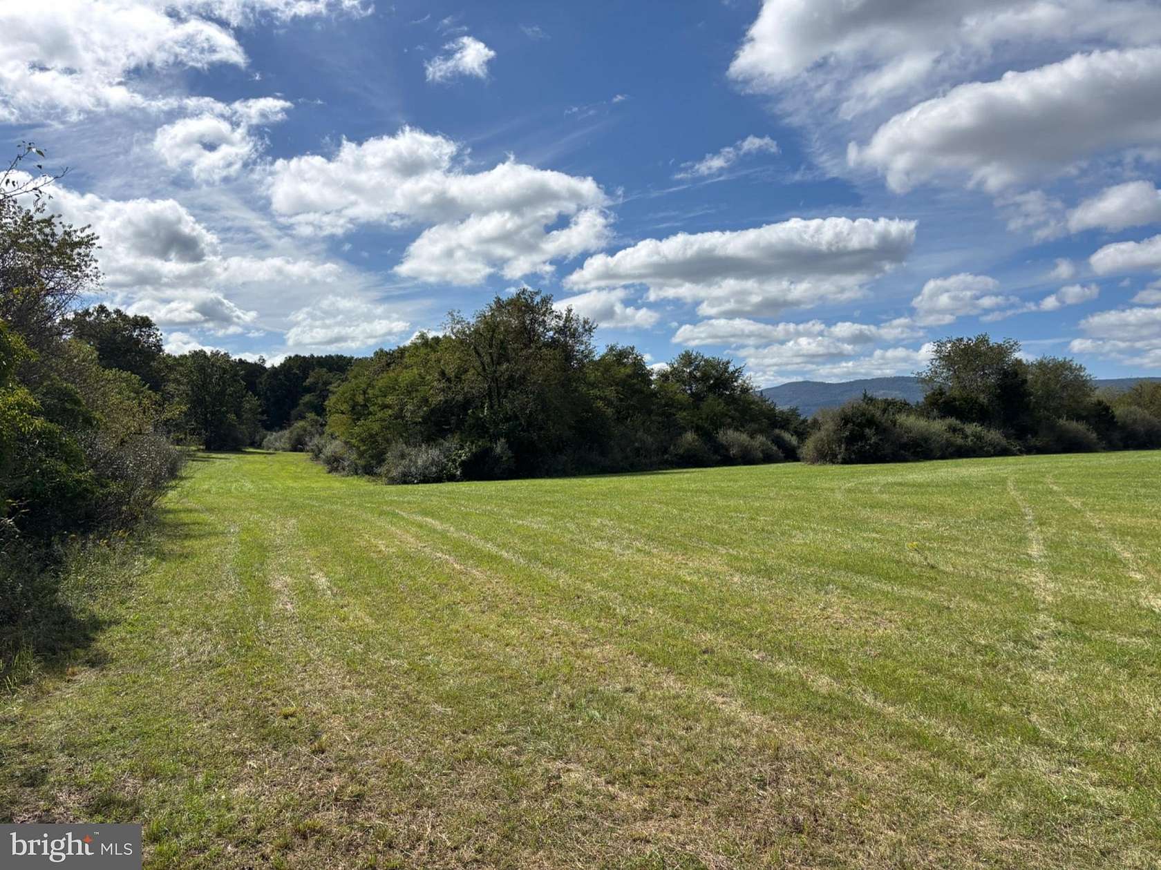 14 Acres of Land for Sale in Moorefield, West Virginia
