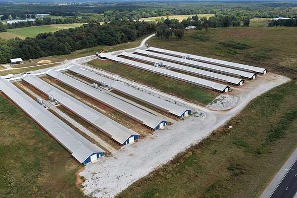 96 Acres of Land for Sale in Russellville, Alabama