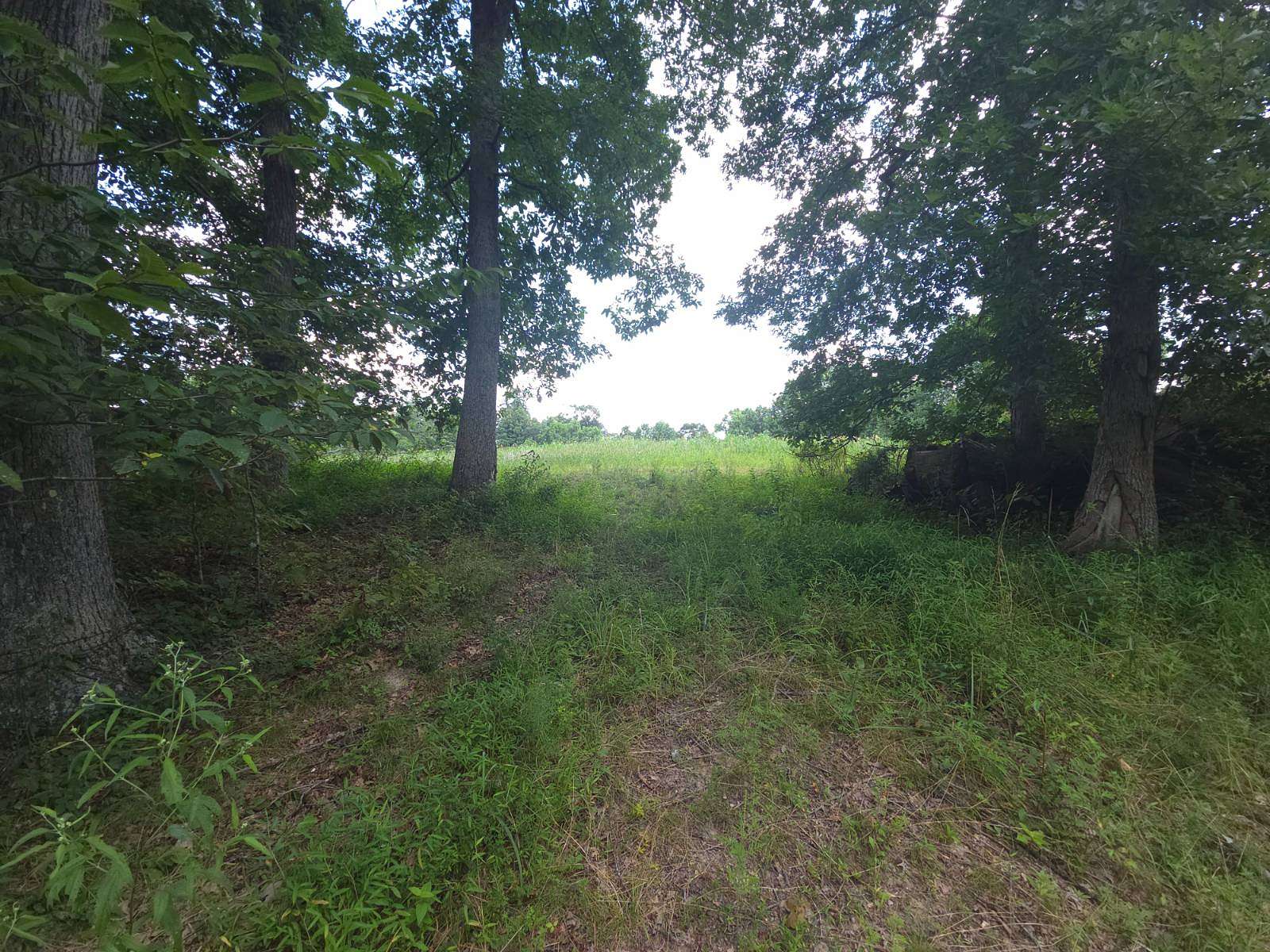 87 Acres of Land for Sale in Nashville, Indiana