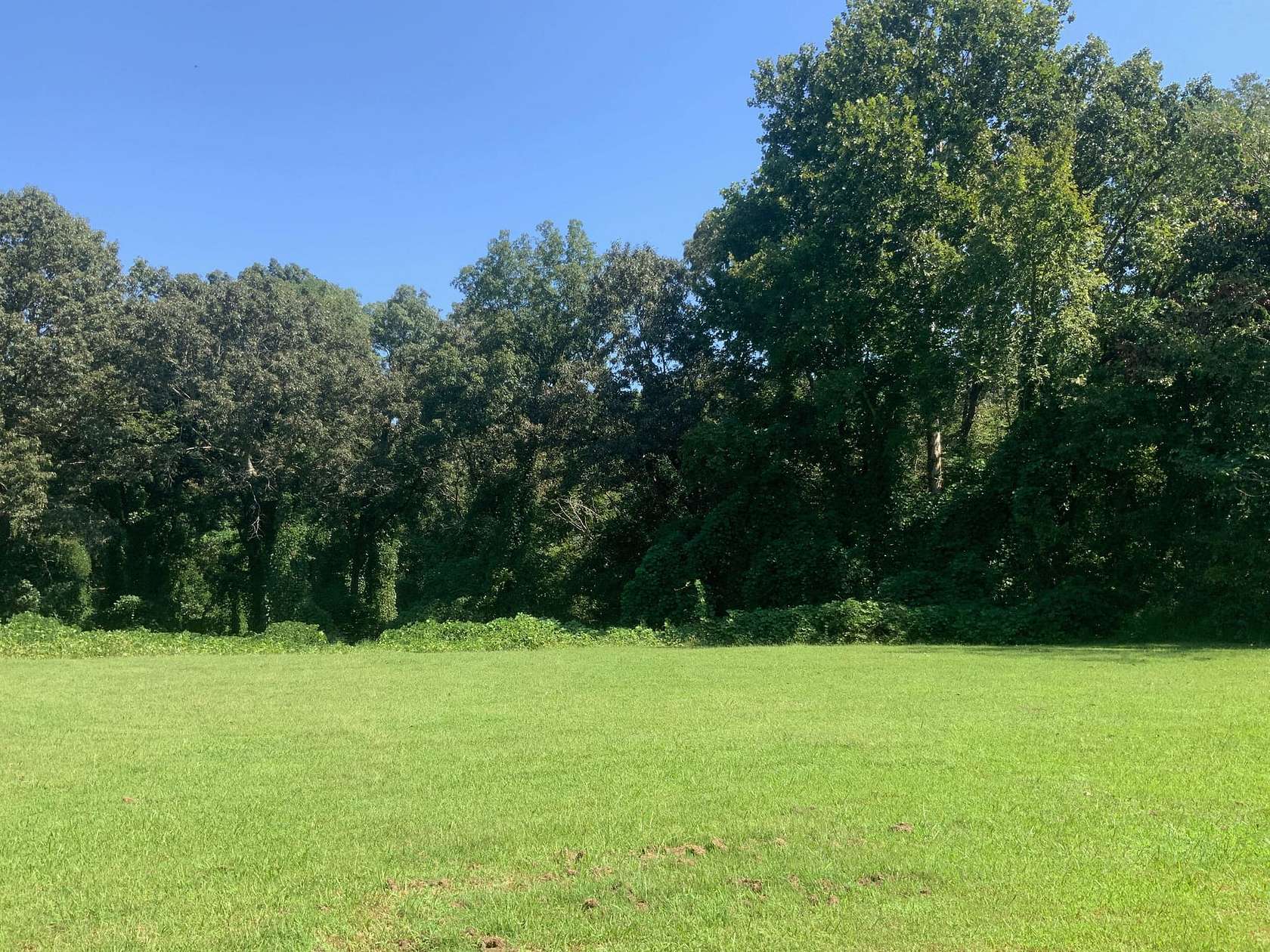10 Acres of Recreational & Residential Land for Sale in Puryear, Tennessee