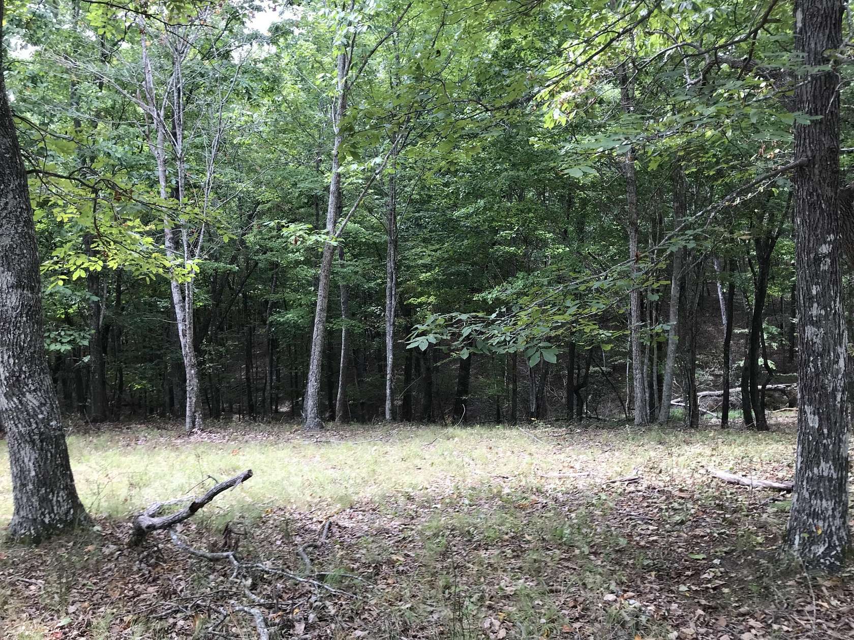 1.78 Acres of Land for Sale in Dunlap, Tennessee