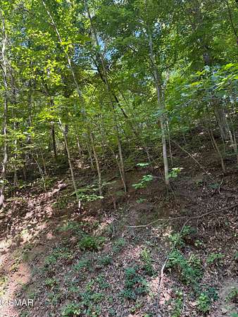 0.42 Acres of Land for Sale in Pigeon Forge, Tennessee