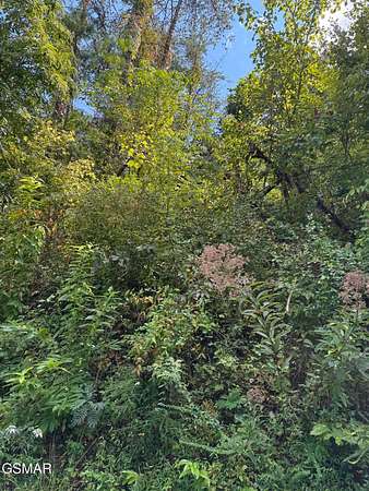 0.67 Acres of Land for Sale in Pigeon Forge, Tennessee