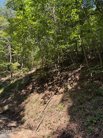 0.42 Acres of Land for Sale in Pigeon Forge, Tennessee