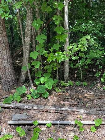 0.71 Acres of Land for Sale in Sevierville, Tennessee