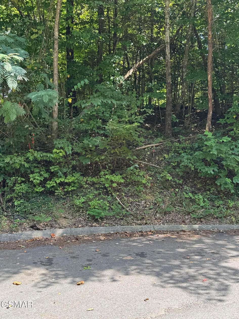 0.71 Acres of Land for Sale in Pigeon Forge, Tennessee