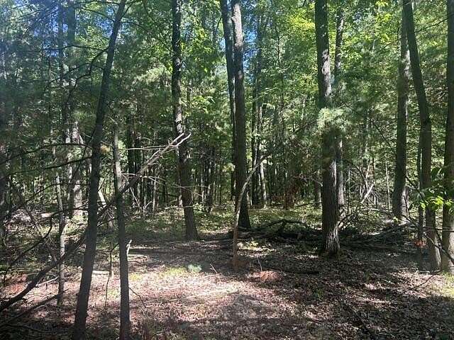 10 Acres of Recreational Land for Sale in Stanwood, Michigan
