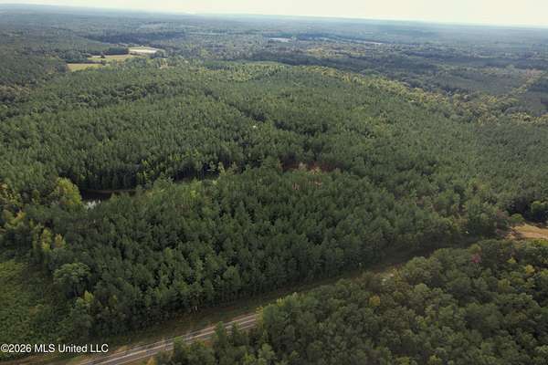 69 Acres of Recreational & Residential Land for Sale in Eupora, Mississippi