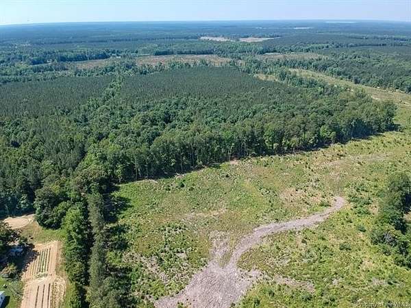 83 Acres of Land for Sale in Charles City, Virginia