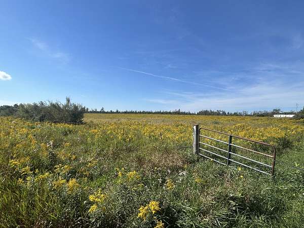 137 Acres of Recreational & Residential Land for Sale in Lincoln, Michigan