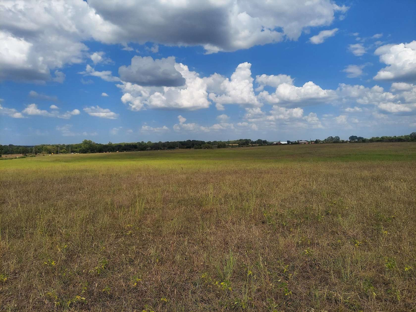 20 Acres of Land for Sale in Willard, Missouri