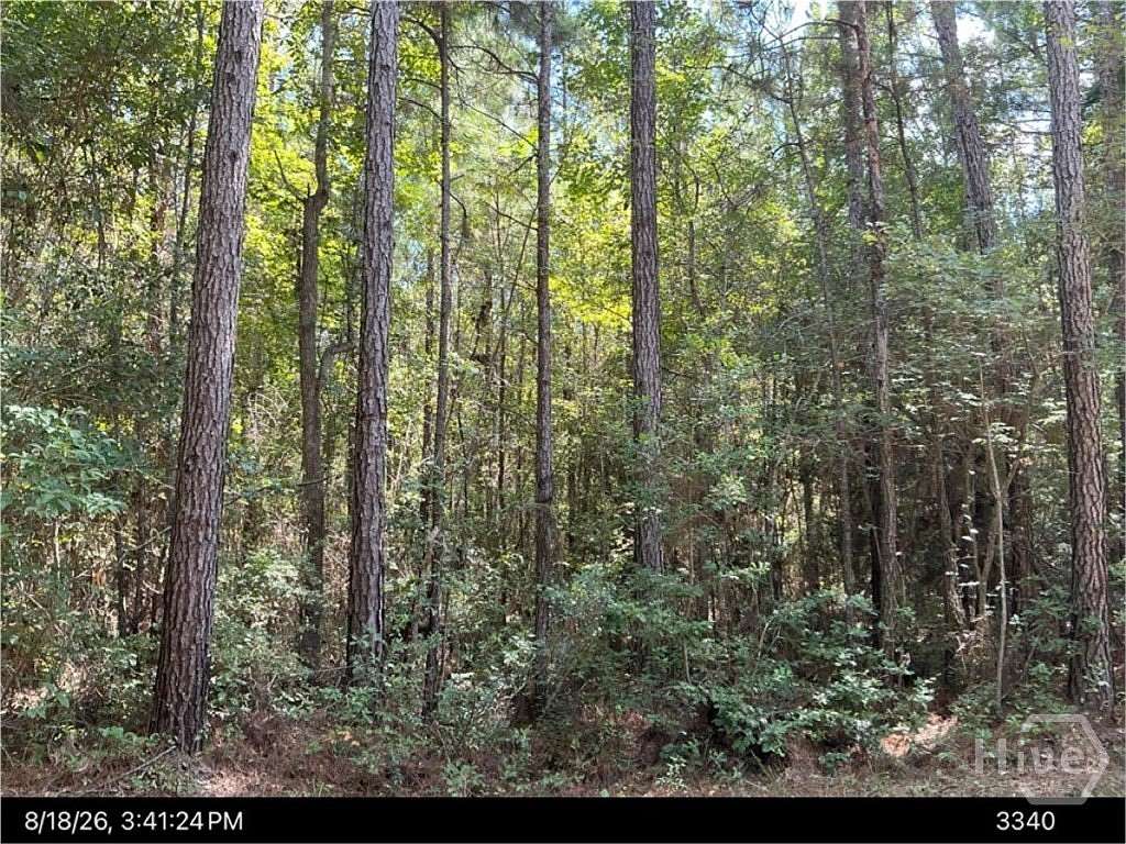 2.6 Acres of Residential Land for Sale in Bloomingdale, Georgia