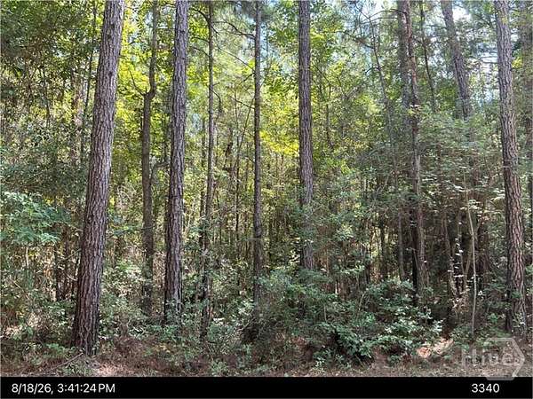 2.6 Acres of Residential Land for Sale in Bloomingdale, Georgia