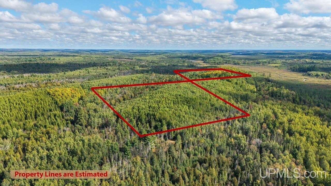 80 Acres of Recreational & Residential Land for Sale in Perronville, Michigan