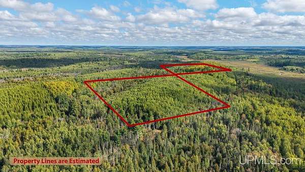 80 Acres of Recreational & Residential Land for Sale in Perronville, Michigan