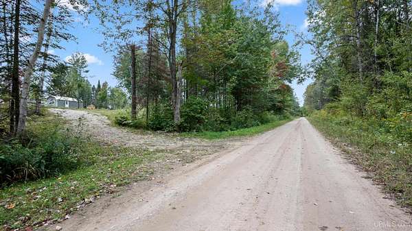 20 Acres of Recreational & Residential Land for Sale in Rock, Michigan