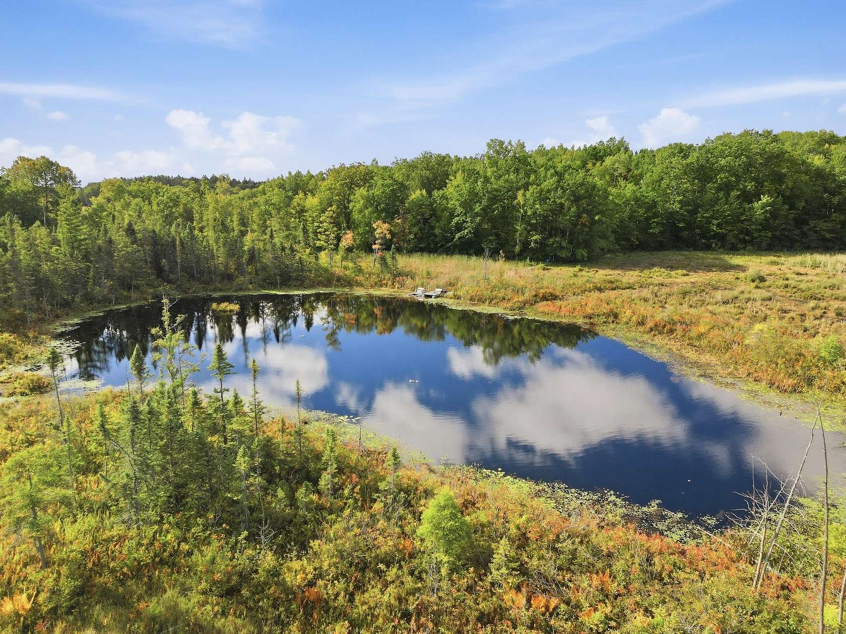 32.6 Acres of Recreational Land for Sale in Rodney, Michigan